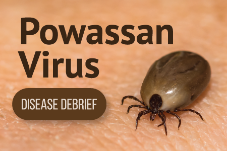 POWASSAN VIRUS