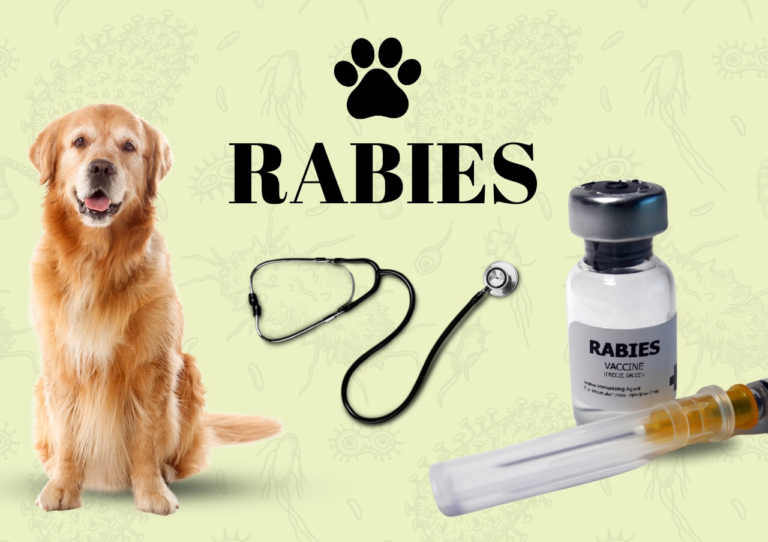 Rabies