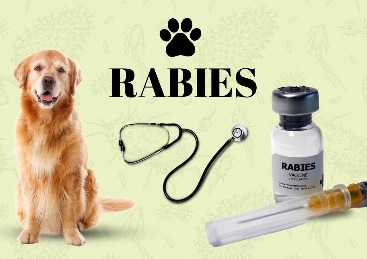 Rabies