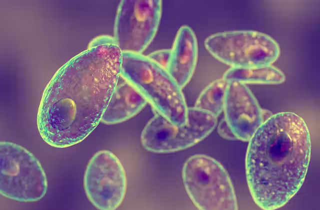 TOXOPLASMOSIS