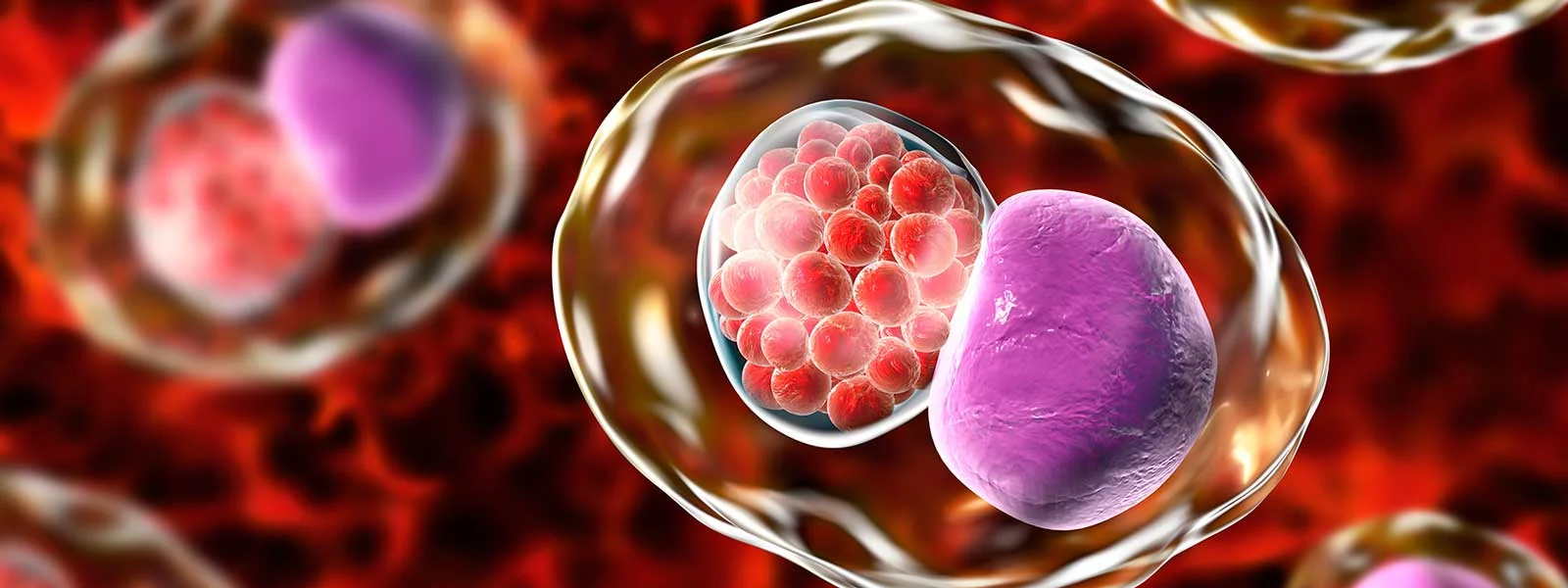 CHLAMYDIA TRACHOMATIS