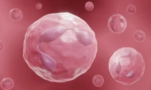 GRANULOMATOUS DISEASE