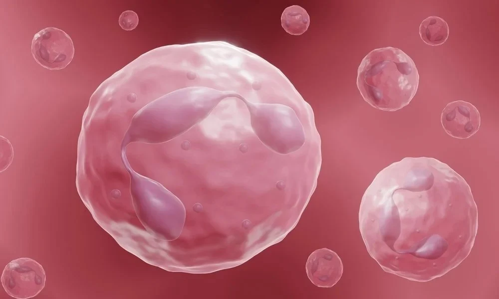 GRANULOMATOUS DISEASE
