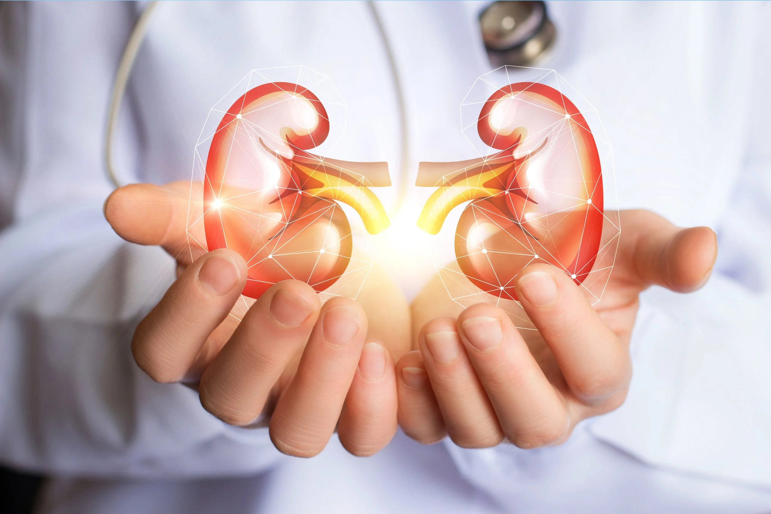 NEPHROTIC SYNDROME