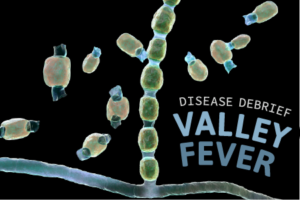 VALLEY FEVER