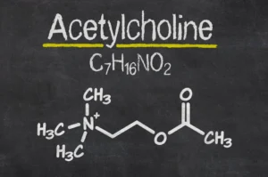 Acetylcholine