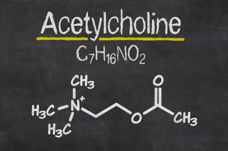 Acetylcholine