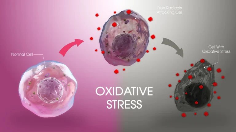 OXIDATIVE STRESS