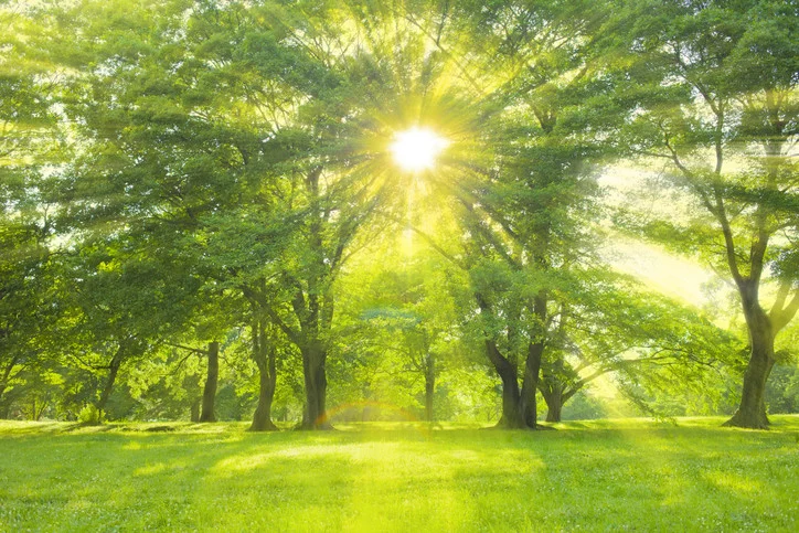 Green Space