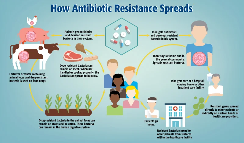 Antimicrobial Resistance