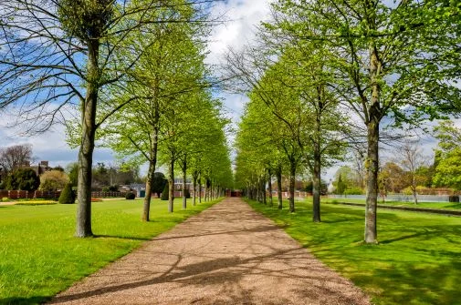 Green Space