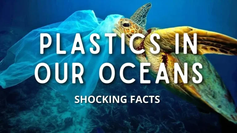 Microplastics in Our Oceans