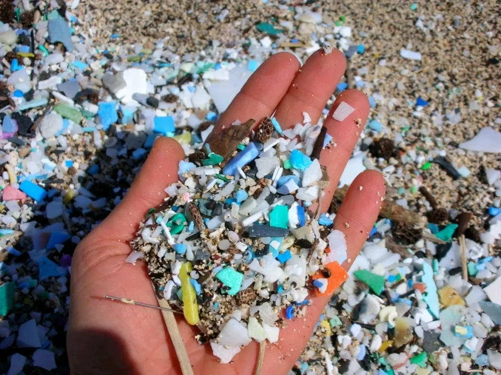 Microplastics in Our Oceans