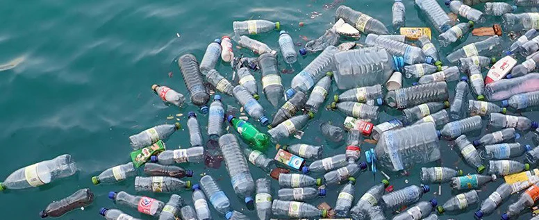 Microplastics in Our Oceans