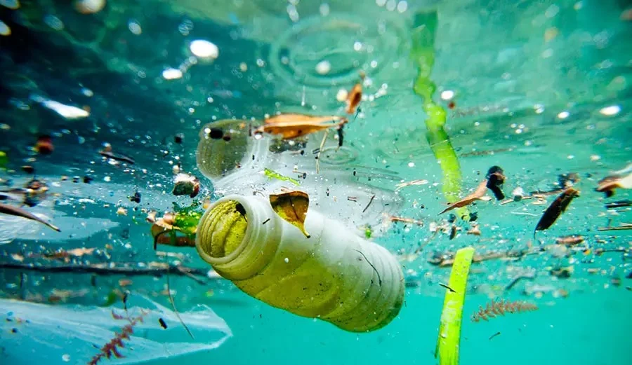 Microplastics in Our Oceans