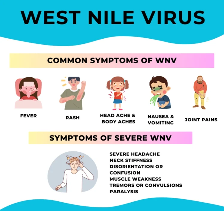 West Nile Virus