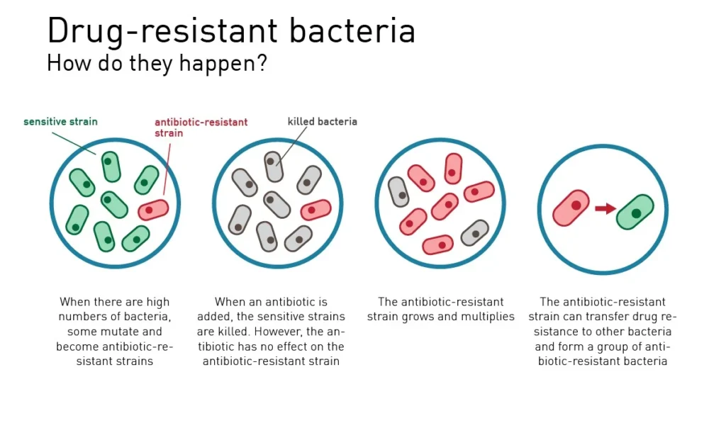 Antimicrobial Resistance