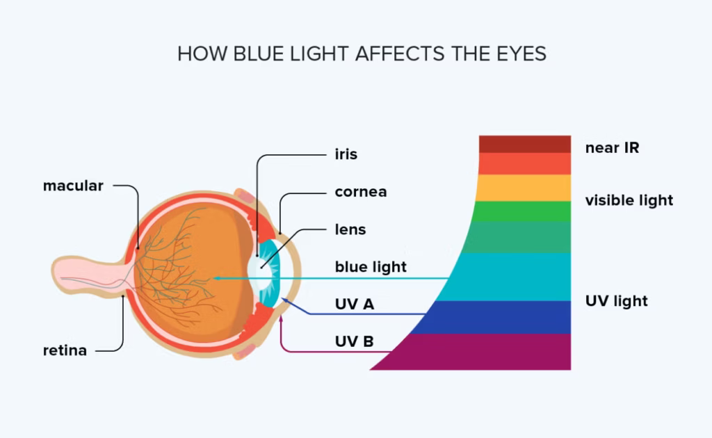 Blue Light
