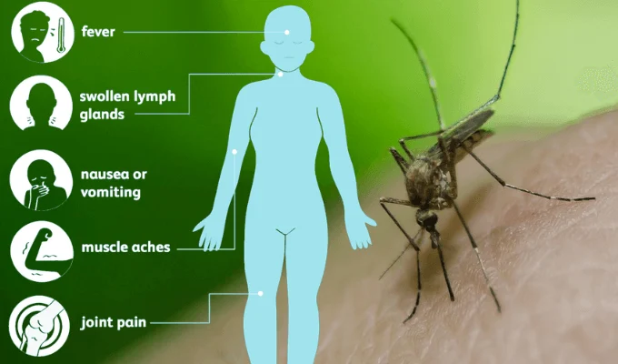 West Nile Virus