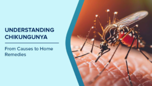 Chikungunya Exposed