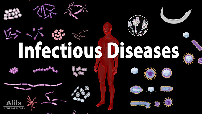 The Ultimate Guide to Infectious Diseases: Proven Prevention Strategies That Save Lives