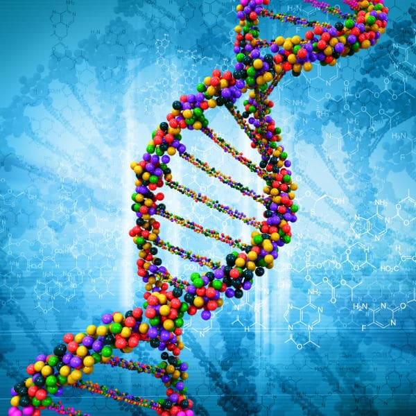 Epigenetics in health and disease