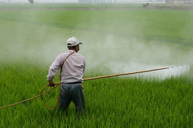 Pesticide Health Risks