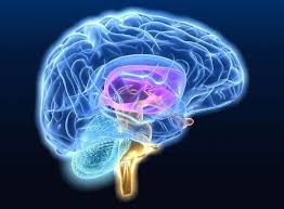 Neurodegenerative Diseases