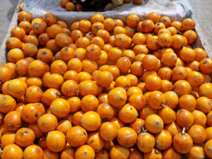Agbalumo