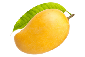 health-benefits-mango-king-of-fruits