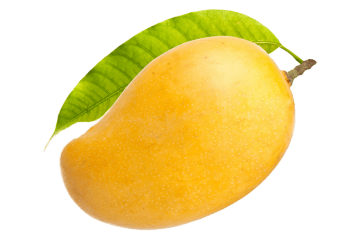 health-benefits-mango-king-of-fruits