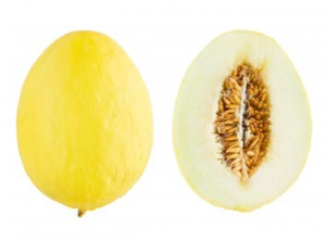 Canary Melon