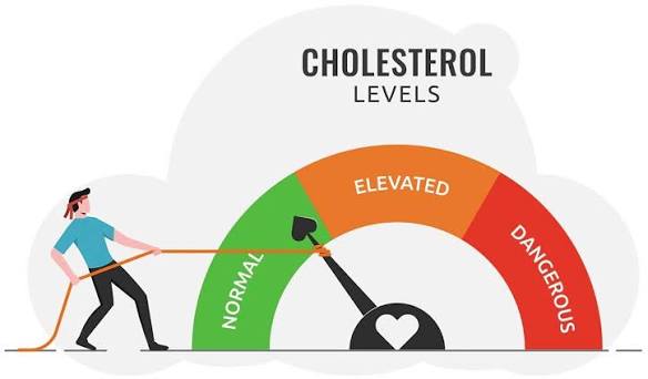 Cholesterol