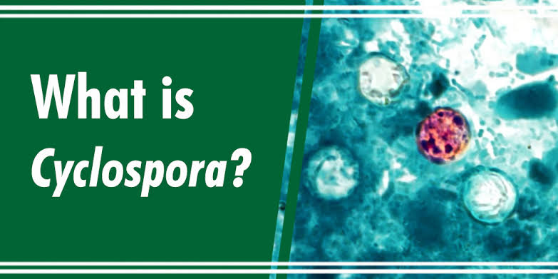 Cyclospora
